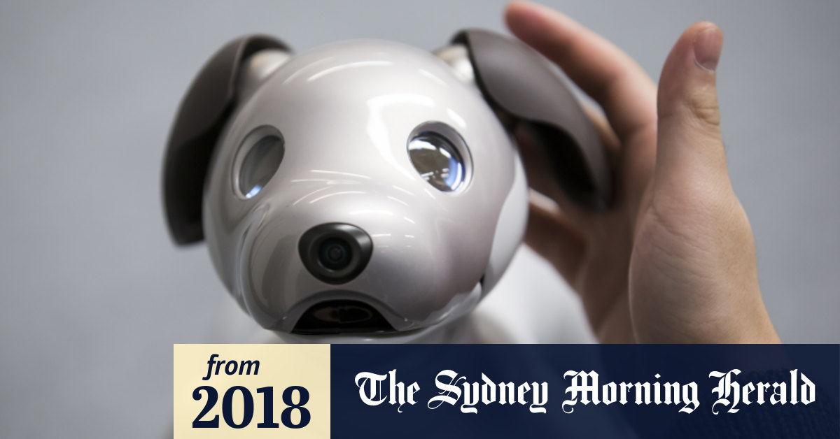 Aibo review Robodog reboot melts your heart with mechanical precision